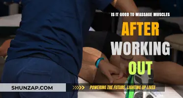 Post-Workout Muscle Massage: Benefits, Timing, and Techniques Explained