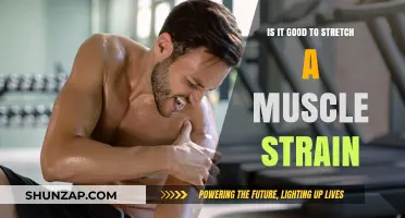 Should You Stretch a Muscle Strain? Benefits, Risks, and Recovery Tips