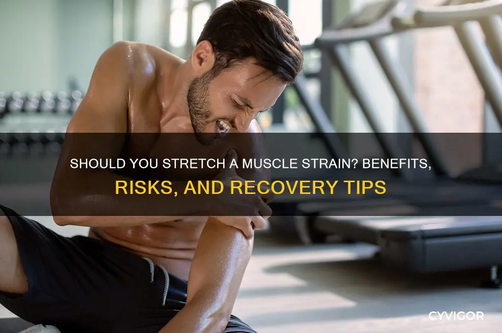 is it good to stretch a muscle strain