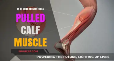 Should You Stretch a Pulled Calf Muscle? Recovery Tips and Advice