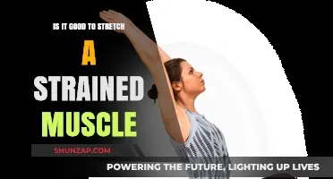 Should You Stretch a Strained Muscle? Expert Advice and Tips