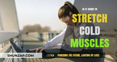 Stretching Cold Muscles: Benefits, Risks, and Best Practices Explained
