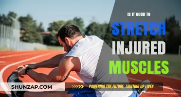 Should You Stretch Injured Muscles? Expert Advice for Safe Recovery