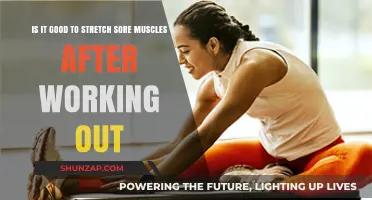 Should You Stretch Sore Muscles Post-Workout? Benefits and Risks Explained