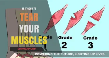 Muscle Tears: Beneficial or Harmful for Strength and Recovery?