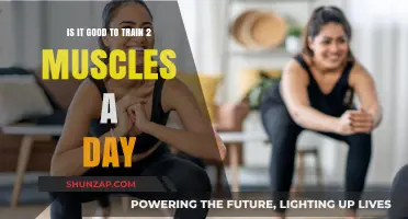 Training Two Muscles Daily: Benefits, Risks, and Optimal Strategies