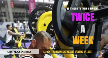 Training Muscles Twice Weekly: Optimal Growth or Overtraining Risk?