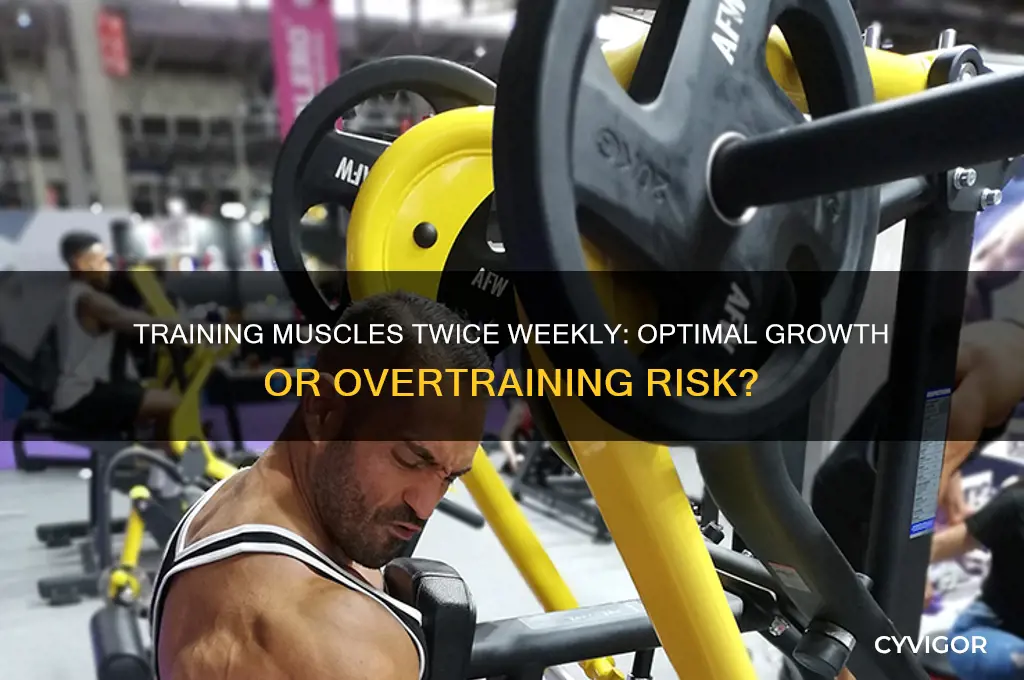 is it good to train a muscle twice a week