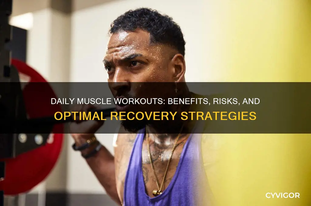 is it good to work out muscles everyday