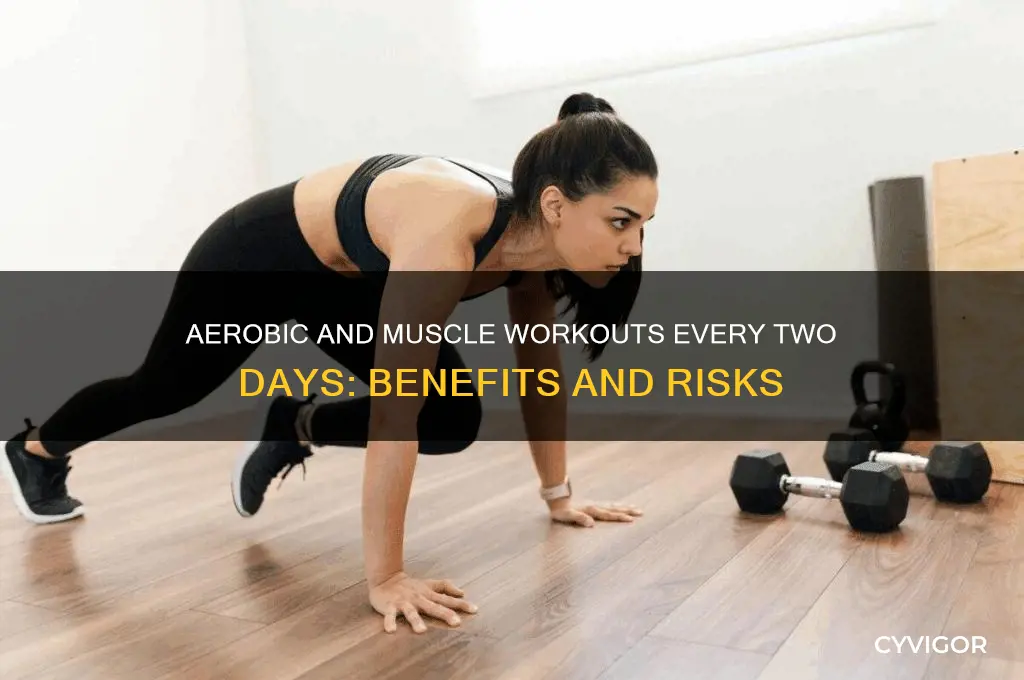 is it good to workout aerobic and muscles every twodays