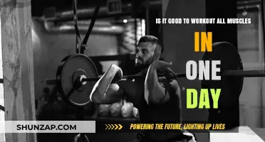 Full-Body Workouts: Effective or Overkill for Daily Muscle Training?