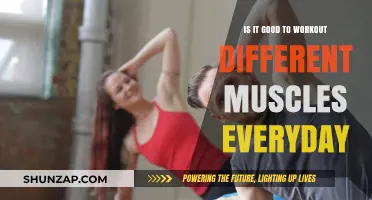 Daily Muscle Rotation: Benefits and Risks of Varied Workouts