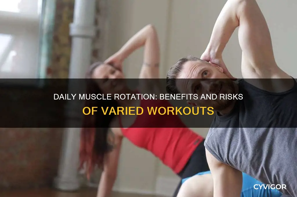 is it good to workout different muscles everyday