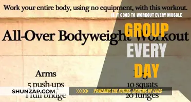 Daily Full-Body Workouts: Effective or Counterproductive for Muscle Growth?