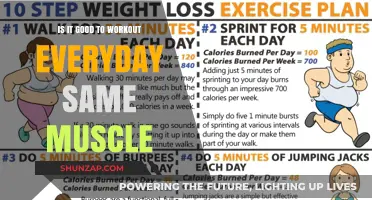 Daily Muscle Workouts: Effective or Counterproductive for Strength Gains?