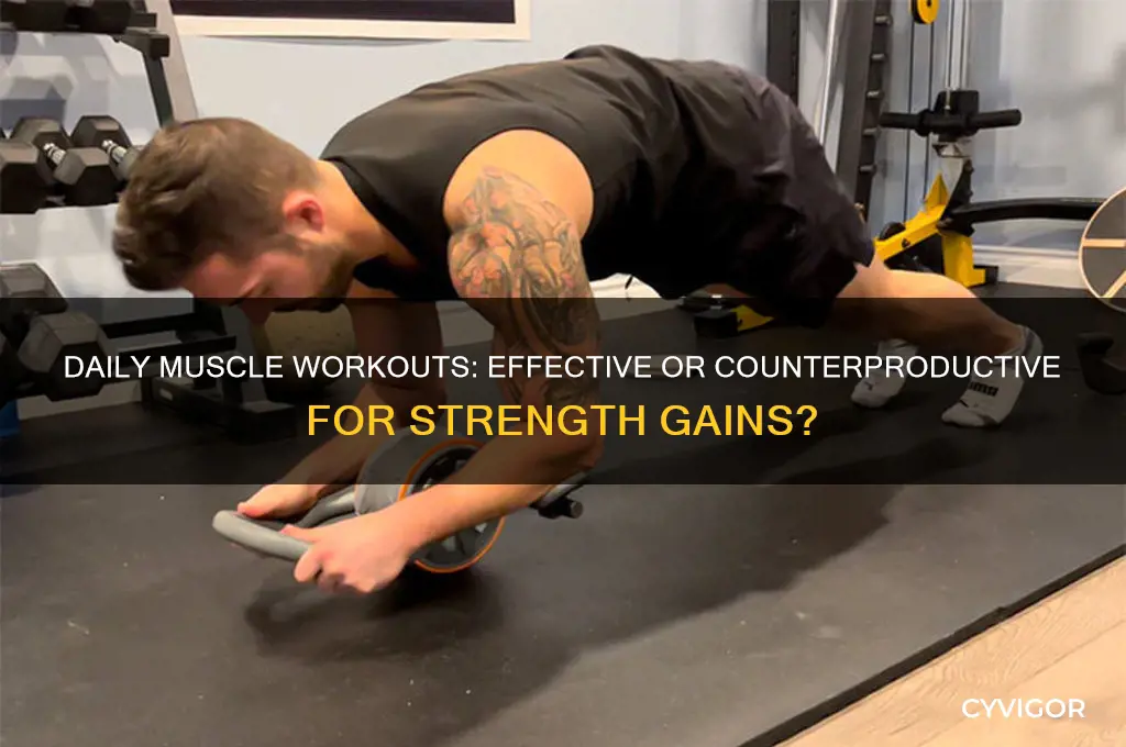 is it good to workout everyday same muscle