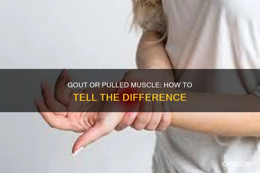is it gout or did you pull a muscle