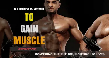 Ectomorph Muscle Gain: Challenges and Strategies for Building Mass