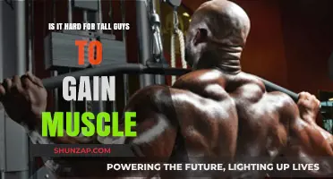 Tall Guys and Muscle Gain: Overcoming Challenges for Strength and Size