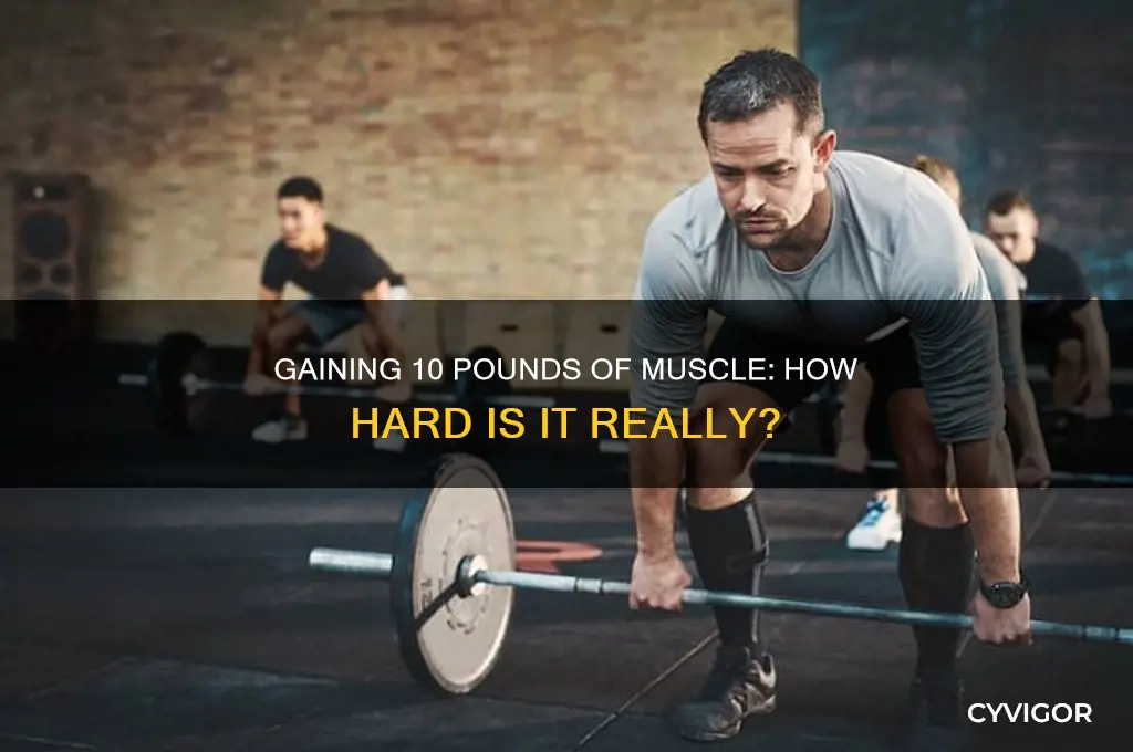 is it hard to gain 10 pounds of muscle