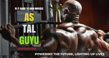 Tall Guys and Muscle Gain: Overcoming Challenges for Strength and Size
