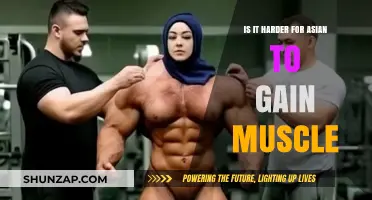 Asian Muscle Gain Challenges: Fact or Fiction? Unraveling the Myth