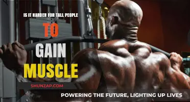 Tall People's Muscle Gain Challenge: Is It Harder to Bulk Up?