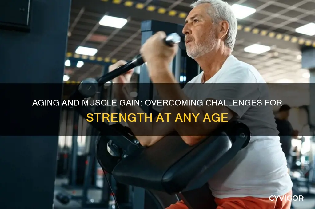 is it harder to gain muscle as you age