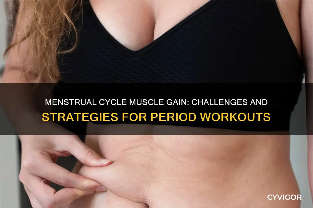 is it harder to gain muscle on your period