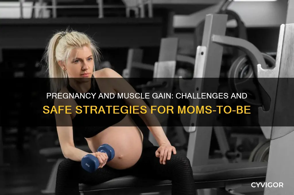 is it harder to gain muscle while pregnant