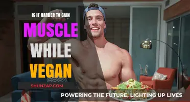 Vegan Muscle Gain: Challenges, Strategies, and Proven Success Tips