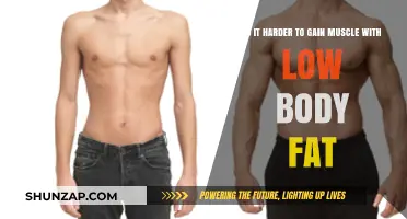 Muscle Gain Challenges: Low Body Fat's Impact on Building Mass
