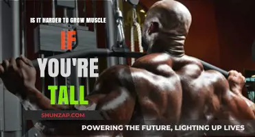 Tall and Toned: Does Height Make Muscle Growth Harder?