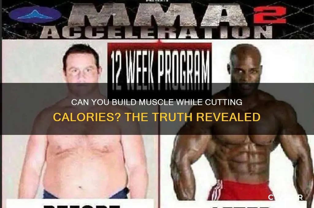 is it impossible to gain muscle during a calorie deficit