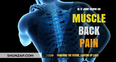Joint, Nerve, or Muscle: Decoding the Source of Your Back Pain