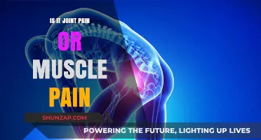 Joint Pain vs. Muscle Pain: Identifying the Source of Your Discomfort