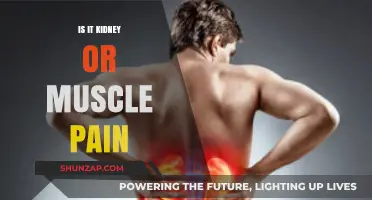Kidney or Muscle Pain: Identifying the Source and Seeking Relief