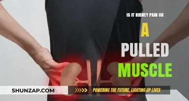 Kidney Pain or Pulled Muscle: How to Tell the Difference