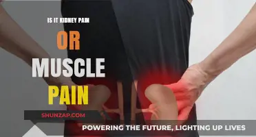 Kidney Pain or Muscle Pain: How to Tell the Difference