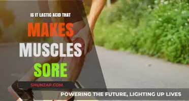 Lactic Acid and Muscle Soreness: Unraveling the Post-Workout Pain Mystery
