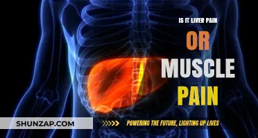 Liver Pain vs. Muscle Pain: How to Tell the Difference
