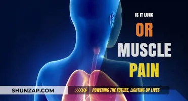 Lung or Muscle Pain: Identifying the Source and Seeking Relief
