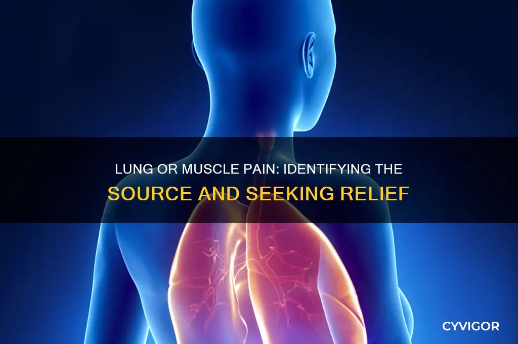 is it lung or muscle pain