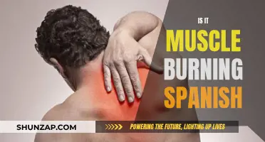 Muscle Soreness: Burning Questions in Spanish Fitness Culture
