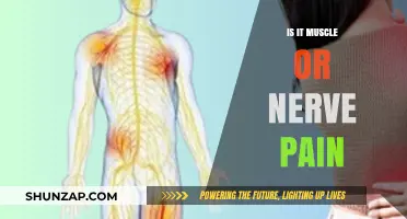 Muscle vs. Nerve Pain: Identifying the Source and Relief Strategies