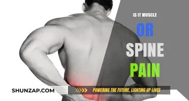 Muscle or Spine Pain: Identifying the Source and Finding Relief