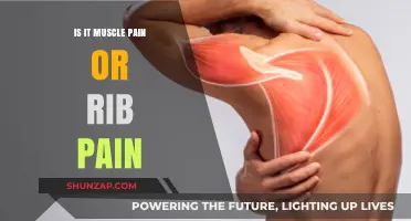 Muscle Pain or Rib Pain: Identifying the Source of Your Discomfort