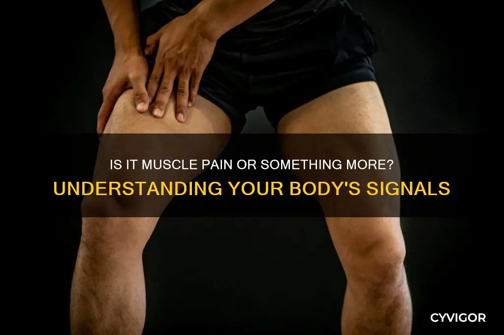is it muscle pain