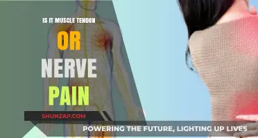Muscle, Tendon, or Nerve Pain: Identifying the Source of Your Discomfort