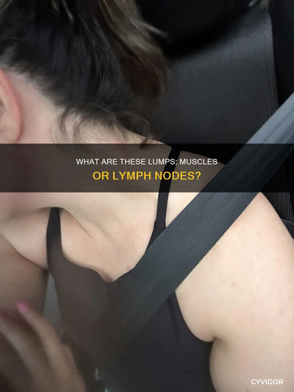 is it muscles or lymphnodes